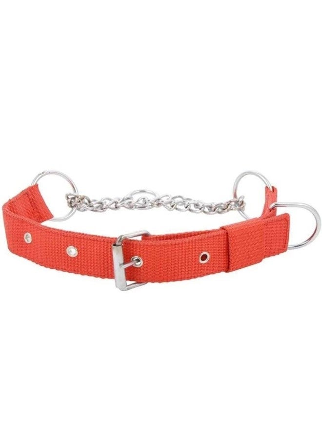 KittuPet Combo of Dog Choke Collar with Comfortable D Rable Training Rope Leash for Dogs Suitable for All Breeds. (Medium, Red) - Image 2